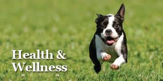 Health & Wellness - Complete Care for your Pets