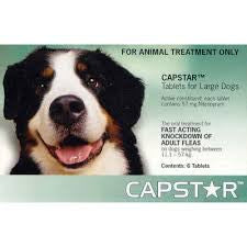 Capstar Flea Treatment for Cats &amp; Dogs