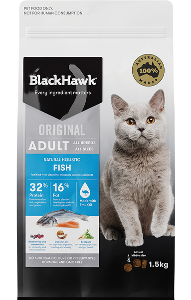 BlackHawk Cat - Original Adult Fish