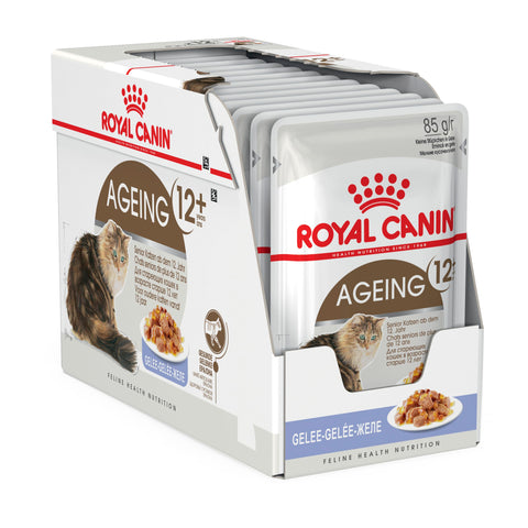 Royal Canin Cat - Royal Canin AGEING +12 IN JELLY (pouches)