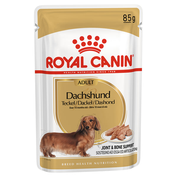 Royal Canin Dog - Royal Canin DACHSHUND POUCHES - Wet food