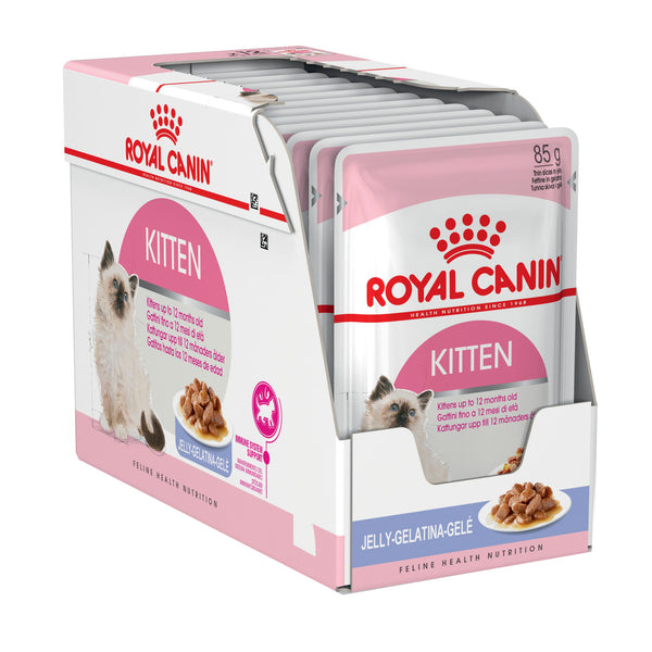 Royal Canin Cat - Royal Canin KITTEN INSTINCTIVE POUCHES in jelly, 4-12 months