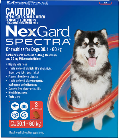 Nexgard Spectra - Nexgard Spectra Chews Extra Large Dogs 30-60kg (RED)