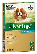 Advantage Dog - Advantage Medium Dog (Blue) 4-10Kg