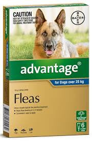 Advantage Dog - Advantage Extra Large Dog (Grey), 25-50Kg
