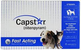 Capstar Cat - Capstar 11mg - Cats & Small Dogs (Blue)