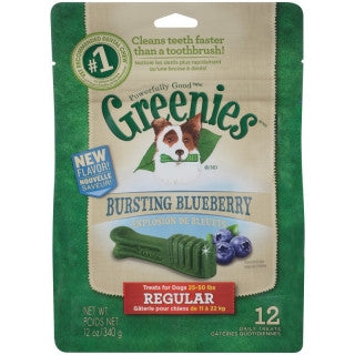 Greenies Blueberry Pack Regular