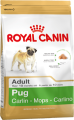 Royal Canin Dog - Royal Canin PUG, 10 months +
