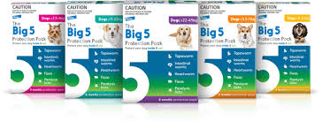 The Big 5 Protection Pack