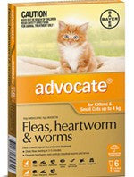Advocate Cat - Advocate Small Cat (Orange) 0-4Kg