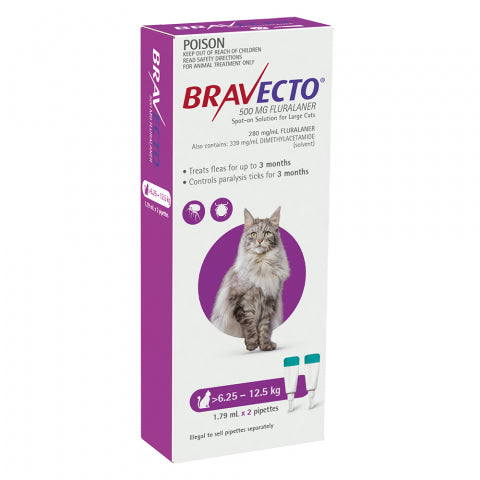 Bravecto Cat - BRAVECTO CAT SPOT ON 6.25-12.5KG 2PK