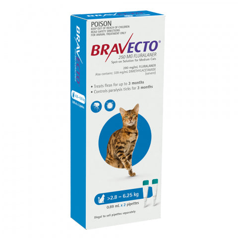 Bravecto Cat - BRAVECTO CAT SPOT ON 2.8-6.25KG 2PK