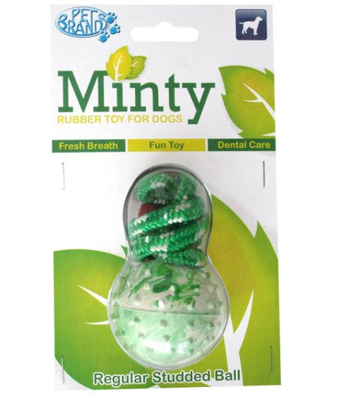 Minty Fresh Rubber Ball – Regular