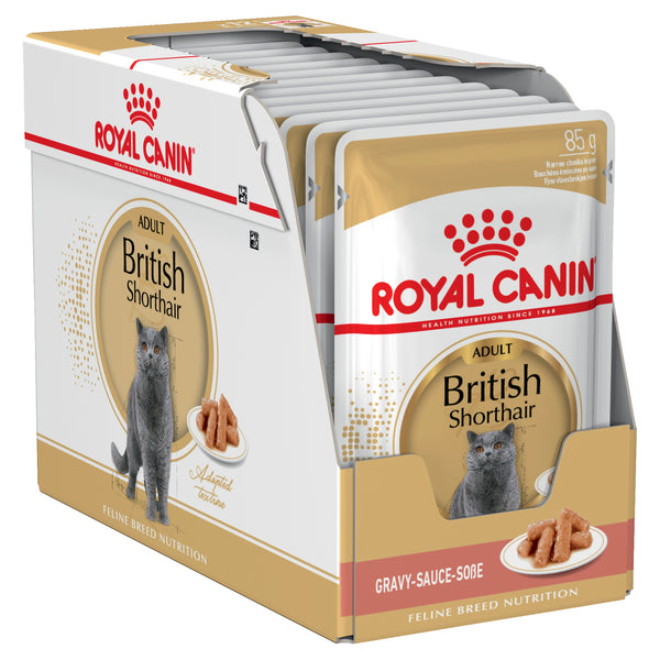 Royal Canin Cat - Royal Canin BRITISH SHORTHAIR WET FOOD