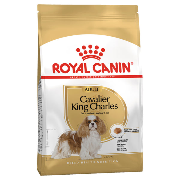 Royal Canin Dog - Royal Canin CAVALIER KING CHARLES ADULT