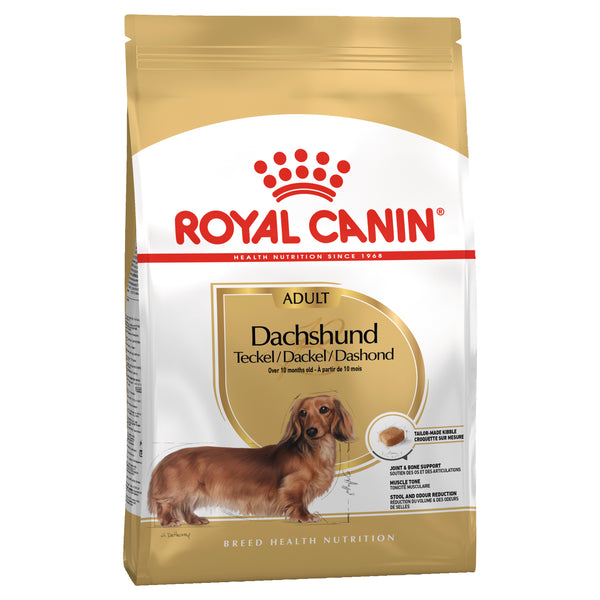 Royal Canin Dog - Royal Canin DACHSHUND ADULT,10 months +