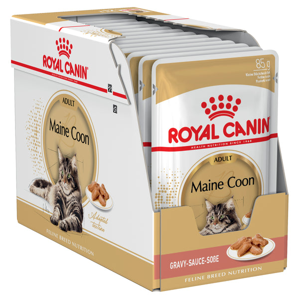 Royal Canin Cat - Royal Canin MAINE COON WET FOOD