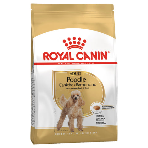 Royal Canin Dog - Royal Canin POODLE,10 months +