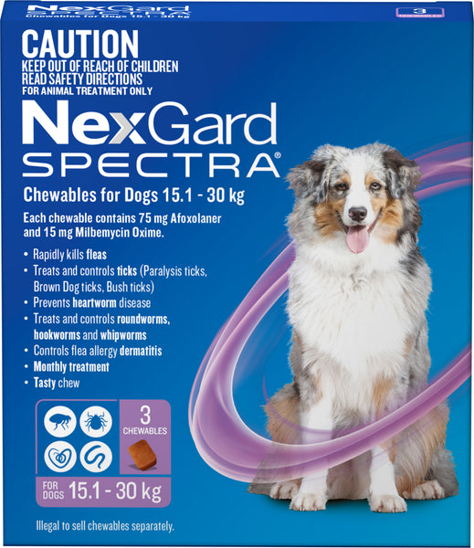 Nexgard Spectra - Nexgard Spectra Chews Large Dogs 15.1-30kg (PURPLE)