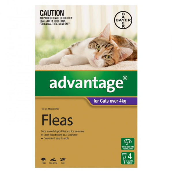 Advantage Cat - Advantage Large Cats - (Purple) Over 4Kg