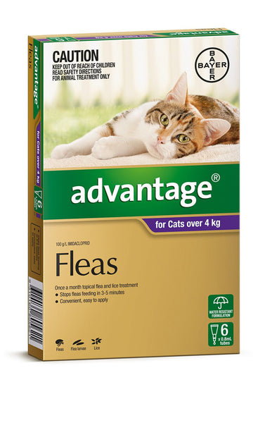 Advantage Cat - Advantage Large Cats - (Purple) Over 4Kg