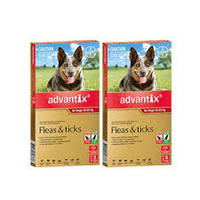 Advantix Dog - Advantix Large Dog 10-25Kg