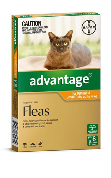 Advantage Cat - Advantage Kittens & Small Cats - (Orange) 0-4Kg