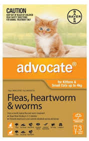 Advocate Cat - Advocate Small Cat (Orange) 0-4Kg