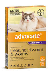 Advocate Cat - Advocate Large Cat (Purple) Over 4Kg