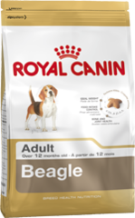 Royal Canin Dog Royal Canin BEAGLE Petfood Express