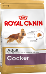 Royal Canin Dog - Royal Canin COCKER SPANIEL