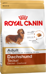 Royal Canin Dog - Royal Canin DACHSHUND ADULT,10 months +