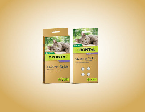 Drontal Cat - Drontal Allwormer Cat 0-4Kg