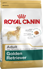 Royal Canin Dog - Royal Canin GOLDEN RETRIEVER ADULT,15 months +