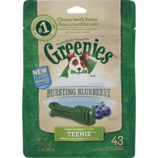 Greenies Blueberry Pack Teenie