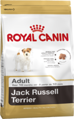 Royal Canin Dog - Royal Canin JACK RUSSELL TERRIER