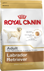 Royal Canin Dog - Royal Canin LABRADOR RETRIEVER ADULT ,15 months+