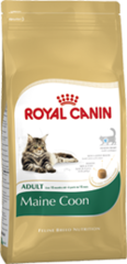 Royal Canin Cat - Royal Canin MAINE COON 31