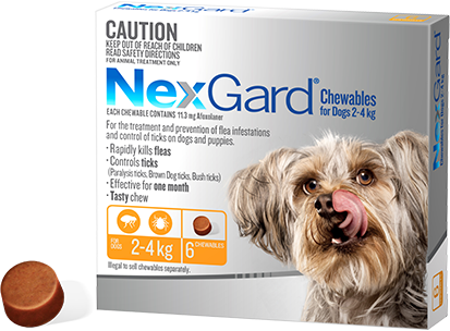 Nexgard Dog - Nexgard Chews Small Dogs 2-4kg (YELLOW)