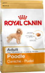 Royal Canin Dog - Royal Canin POODLE,10 months +