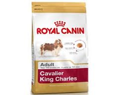 Royal Canin Dog - Royal Canin CAVALIER KING CHARLES ADULT