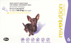 Revolution Dog - Revolution Small Dog 2.5-5Kg (Purple)