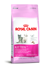 Royal Canin Cat - Royal Canin KITTEN 36, 4-12 months