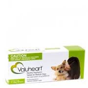 Valuheart - Valuheart Heartworm Tablets Medium Dog 11-20kg (Green)